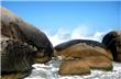 Rocas - Florianopolis - Brasil