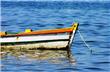 Boat - Florianopolis - Brasil