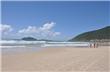 Beach - Florianopolis - Brasil