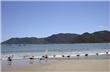 Beach - Florianopolis - Brasil