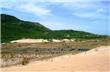 Dunas - Florianopolis - Brasil