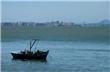 Boat - Florianopolis - Brasil