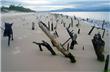 Playa Daniela - Florianopolis - Brasil