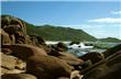 Pedras - Florianopolis - Brasil