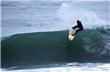 SurfIngles - Florianopolis - Brasil