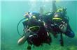 Diving - Florianopolis - Brasil