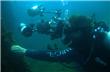 Buceo - Florianopolis - Brasil