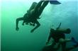 Diving - Florianopolis - Brasil