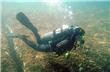 Buceo - Florianopolis - Brasil